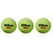 Мячи для падел-тенниса Wilson PADEL X3, 3 шт. 120323 фото 2