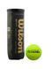 Мячи для падел-тенниса Wilson PREMIER PADEL SPEED, 3 шт. 120804 фото 1
